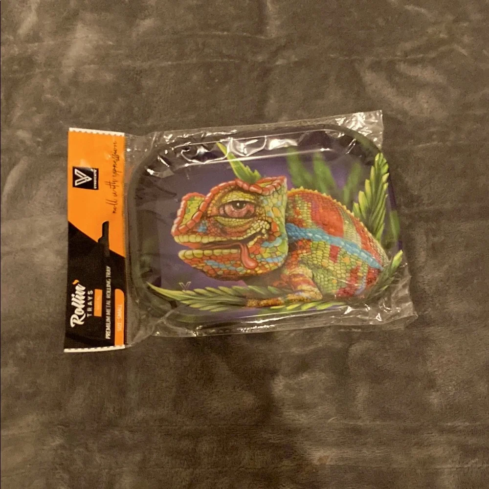 Vibrant Reptile Feeding Dish - Multicolor